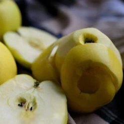 Herefordshire Russet Apple Tree -Garden Living Store FRU0200 2