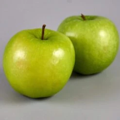 Granny Smith Apple Tree 10 Granny Smith Apple Tree -Garden Living Store FRU0227 3