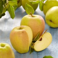 Golden Delicious Apple Tree -Garden Living Store FRU0229 2